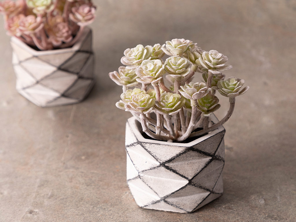 Succulent Ball Çimento Artificial Flower With Vase 11,5x11,5x11,8 Cm White